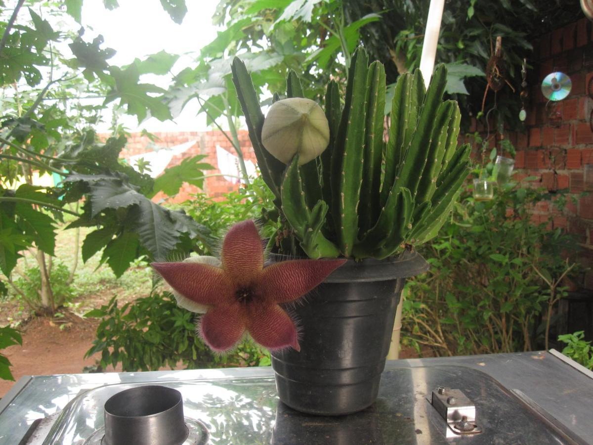 Ecorupestre Hostel เซา ไฮมุนโด โนนาโต ภายนอก รูปภาพ